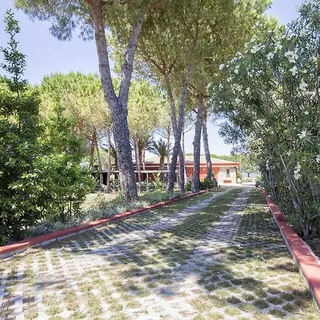 Girasoli Con Piscina Privata E A 2km Dalla Alghero